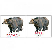 Карточки Домана міні Дикі тварини/ Wild animals від Вундеркінд з пеленок 40 карток, 6 міс+ 2100064096228