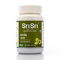 Амла индийский крыжовник, Шри Шри Аюрведа , Amla, Sri Sri Ayurveda , 60 tab натуральный витамин С,