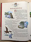 Бабусині казки на добраніч. Автор Анна Казаліс. Ілюстратор Тоні Вульф, фото 5
