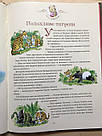Бабусині казки на добраніч. Автор Анна Казаліс. Ілюстратор Тоні Вульф, фото 6