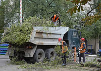 Вывоз бытового мусора