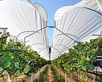 Плівка для вирощування полуниці та м'яких фруктів KRITIFIL® 2495 (Греція)