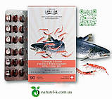 Риб'ячий жир в капсулах Омега 3 форте Вівасан (масло лосося, масло кріля), Швейцарія, фото 2