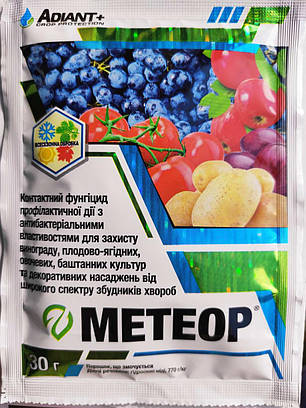 Мідь містить Фунгіцид Метеор (чемпіон), 30 г, ТМ ADIANT, фото 1