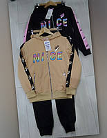 Трикотажні підліткові спортивні костюми для дівчаток оптом Grace 140-170 см
