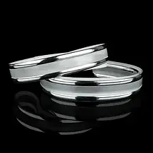 Декоративна накладка DS-R380-02-2S для світильників BIOM DEL-R20-30-4 DIY і SML-R20-50-DIY (2 смужки СРІБЛО), фото 2