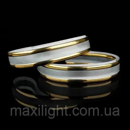 Декоративна накладка DS-S330-03-2G для світильників BIOM DEL-S21-240-4 DIY і SML-S21-50-DIY (2 смужки 2 полосы ЗОЛОТО), фото 1