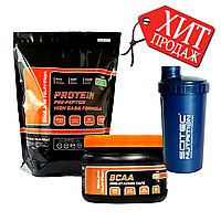 Aktive Масс Набір сироватковий протеїн 2 кг Німеччина зі смаком Морозиво Пломбір + ВСАА в капсулах і Шейкер