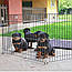 Вольер-загон ограждение с дверкой для собак, щенков Dog Training Дог Тренинг  80-80-h62, фото 3