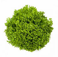 Насіння салату Саланова/світ криспи Экспедишн (Expidition) зелений, 1000сем., дражже, Rijk Zwaan