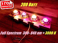 Фитолампа для растений 200w, Full spectrum 400-840nm (380нм, 445нм, 460нм, 610нм, 630нм) с линзой 60 градусов