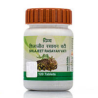 Шиладжит Расаян, Дивья / Shilajeet Rasayan, Divya Pharmacy / 120 таб.