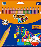 Карандаши цветные Bic Evolution Stripes 24 шт. (bc950525)