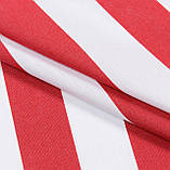 Дралон тканина для маркіз, вуличних штор, шезлонгів, чохлів на садові меблі, гойдалок, смуга, фото 2