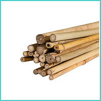 Бамбукова опора L 1,2 м д.10-12мм.палка, стовбур для підв'язки рослин
