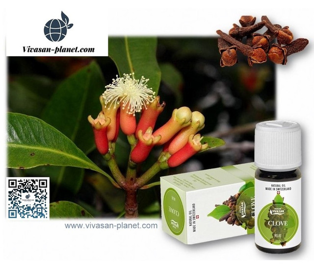 Натуральна ефірна олія Гвоздика Вівасан Ефірна олія Гвоздики Вівасан