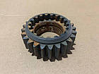 Шестерня головного вала головної передачі (z=25) Т-25 (Д-21) (25.37.156), фото 2