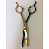 Ножиці Hj-55 Proline 5.5