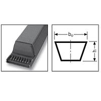 Ремень 17/B 1280 (B49) 17/B 1295 (B49) Contitech.