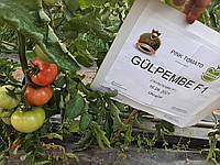 Насіння рожевий томат ГЮЛЬПЕМБЕ F1 (GULPEMBE F1) Суперражний, MRTOHUM Туреччина