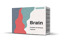 Brain (Брейн)