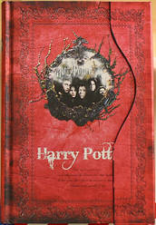 Щоденник Harry Potter red Гаррі Поттер червоний 6.38.2