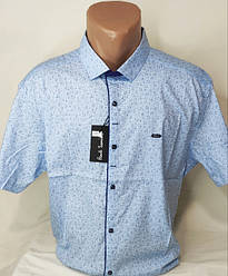 Супер-Батальні чоловічі теніски 6XL-10XL