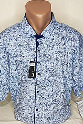 Чоловіча батальна теніска Paul Smith vk-0119 блакитна в візерунок стрейч коттон Туреччина з коротким рукавом 9XL