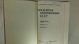 Бобринський Н. та ін. Визначник ссавців СРСР (б/у)., фото 5