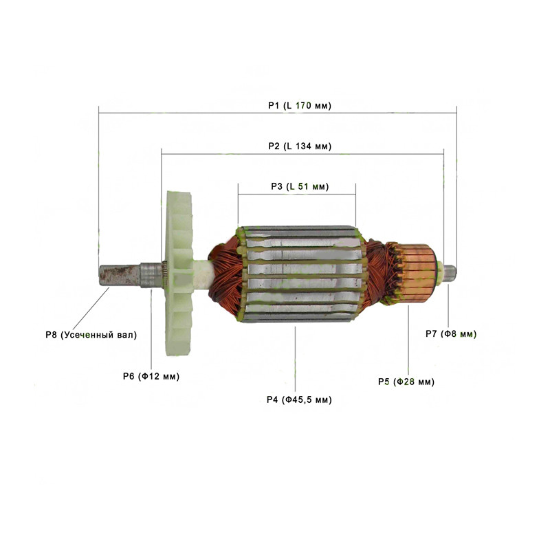 Якір електропили Интерскол ПЦ-16 (170×45,5) мідна обмотка