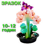 Набір із вирощування кристалів Диво-ялинка (ОМС-01-01), фото 6