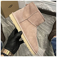 Жіночі зимові Ugg Classic Mini Suede Pink зимові уггі класік міні зимові уггі жіночі зимові Ugg Mini II Pink