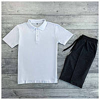 Мужской летний комплект белая футболка поло тенниска + серые шорты (много цветов)