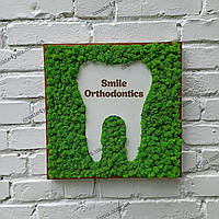 Декор в стоматологічну клініку з моху, вивіска з моху, логотип стоматолога, стоматологічної клініки з моху