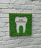 Декор в стоматологічну клініку з моху, вивіска з моху, логотип стоматолога, стоматологічної клініки з моху, фото 3