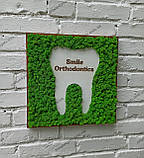 Декор в стоматологічну клініку з моху, вивіска з моху, логотип стоматолога, стоматологічної клініки з моху, фото 6