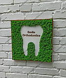 Декор в стоматологічну клініку з моху, вивіска з моху, логотип стоматолога, стоматологічної клініки з моху, фото 5