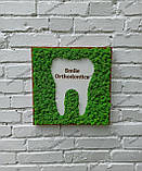 Декор в стоматологічну клініку з моху, вивіска з моху, логотип стоматолога, стоматологічної клініки з моху, фото 2