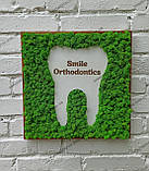 Декор в стоматологічну клініку з моху, вивіска з моху, логотип стоматолога, стоматологічної клініки з моху, фото 4