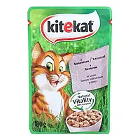 Корм для котов Kitekat с лососем в соусе, 100гр. (китикет)