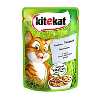 Корм для котів Kitekat з Куркою в соусі , 100 г (кітікет)