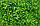 Матча Судзіока зелена (Маття) TM TeaStar 50 грам, фото 2