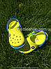 Сабо Crocs Crocband Kids Clog 24 р 13.2-14.0 см Дитячі Жовто сині 204537-C7 Peony Tennis Green Ball/Ocean, фото 8