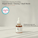 Відновлююча сироватка на основі женьшеню та муцина равлика Beauty of Joseon Repair Serum Ginseng + Snail, фото 4