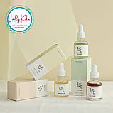 Відновлююча сироватка на основі женьшеню та муцина равлика Beauty of Joseon Repair Serum Ginseng + Snail, фото 8