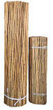 Бамбуковий паркан (1000х3000), фото 3