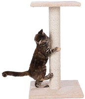 Когтеточка для кошек Trixie (Трикси) Espejo 43341, 69 см