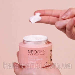 Крем для лица с пробиотиками NEOGEN Dermalogy Probiotics Youth Repair Cream 50 - фото 1 - id-p1433052626