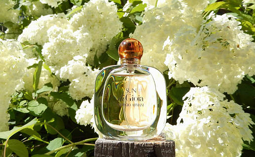 Giorgio armani sun di gioia edp sale