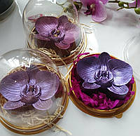 Шоколадная орхидея в купольной упаковке Шоколадный презент